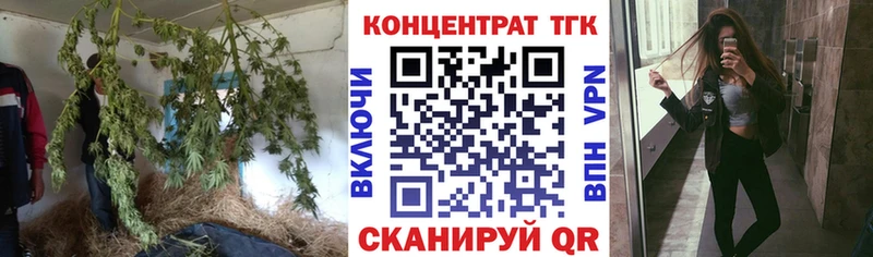 цены Иркутск мега рабочий сайт ТГК вейп с тгк