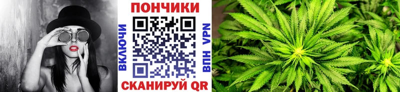 сколько стоит  shop официальный сайт  KRAKEN ссылка  Бошки Шишки AK-47  Иркутск 